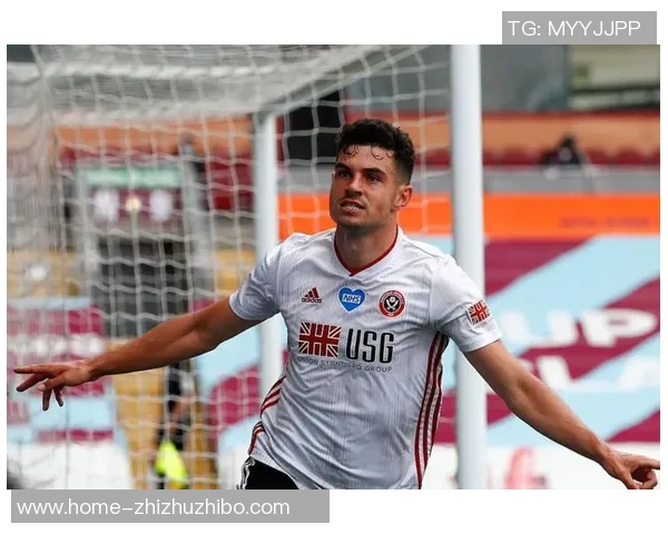 谢菲尔德与狼队精彩对决直播全程回顾与分析